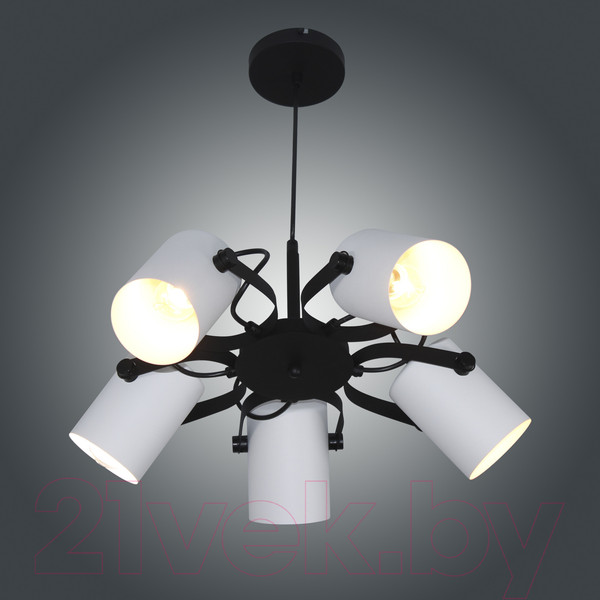 Изображение товара Люстра Элетех Гамма 251 НСБ 01-5х60-140 / 1005405349 (черно-белый муар)