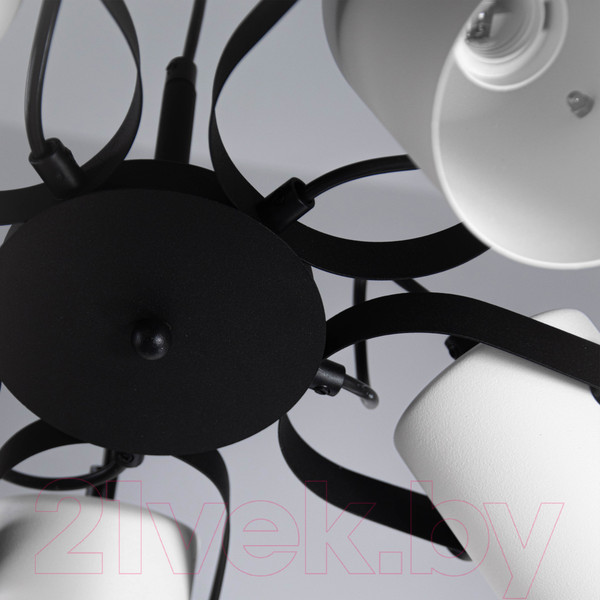 Изображение товара Люстра Элетех Гамма 251 НСБ 01-5х60-140 / 1005405349 (черно-белый муар)