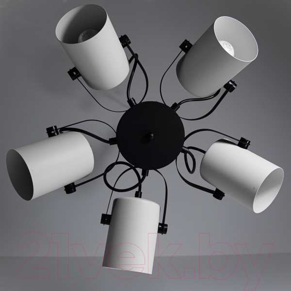 Изображение товара Люстра Элетех Гамма 251 НСБ 01-5х60-140 / 1005405349 (черно-белый муар)