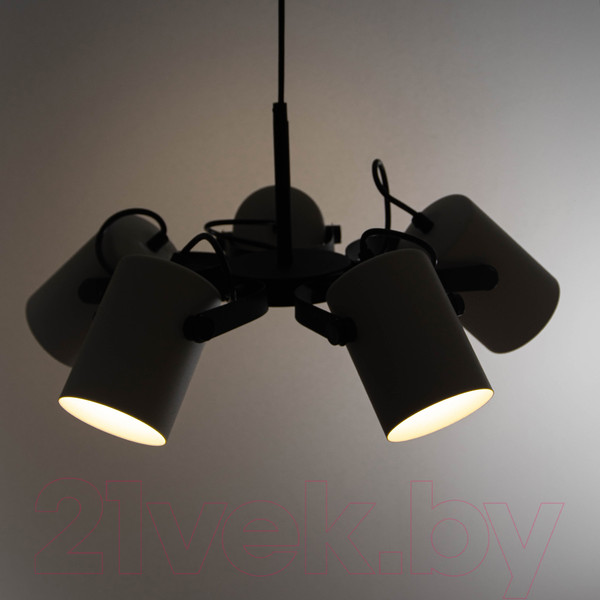 Изображение товара Люстра Элетех Гамма 251 НСБ 01-5х60-140 / 1005405349 (черно-белый муар)