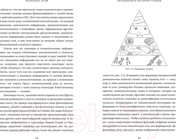 Изображение товара Книга КоЛибри Бесконечная история чтения / 9785389249929 (Вулф М.)