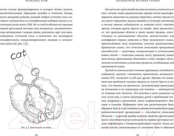 Изображение товара Книга КоЛибри Бесконечная история чтения / 9785389249929 (Вулф М.)