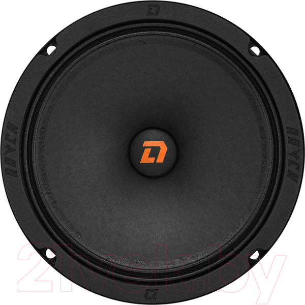 Изображение товара Среднечастотная АС DL Audio Raven 165 v2