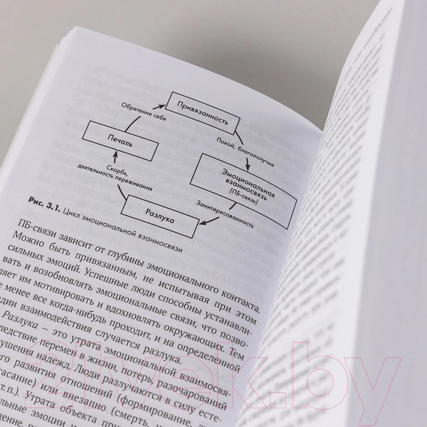 Изображение товара Книга Альпина Найти выход / 9785961495515 (Колризер Дж.)