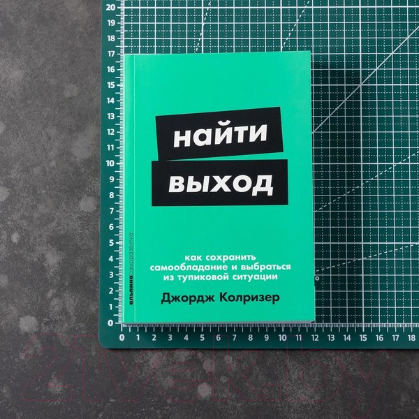 Изображение товара Книга Альпина Найти выход / 9785961495515 (Колризер Дж.)