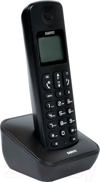 Изображение товара Беспроводной телефон Sanyo RA-SD53RUBK