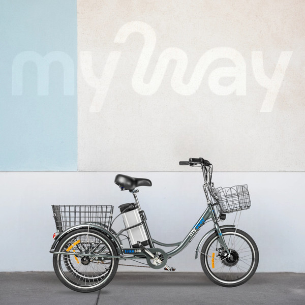 Изображение товара Электровелосипед MyWay Trike 500 20 (15, графитовый, матовый)