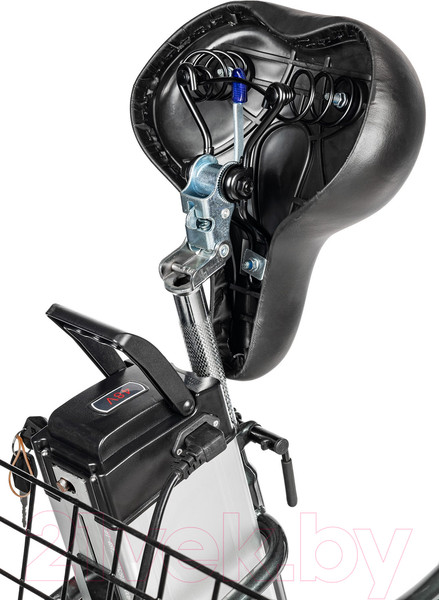 Изображение товара Электровелосипед MyWay Trike 500 20 (15, графитовый, матовый)