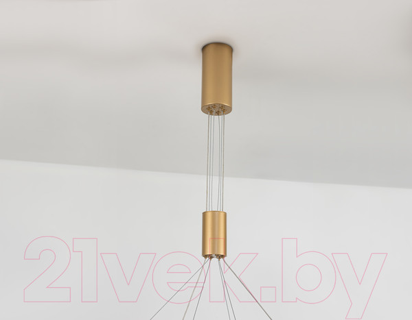 Изображение товара Потолочный светильник Ambrella Comfort FL5885/2 GD (золото)