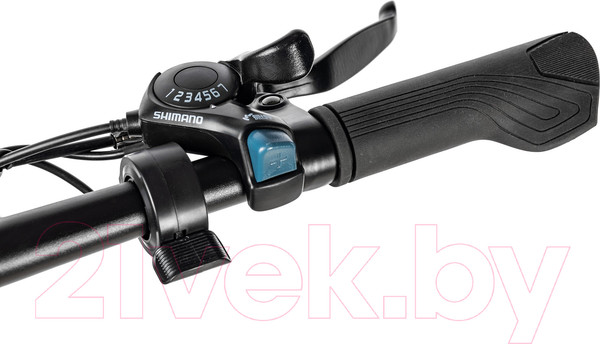 Изображение товара Электровелосипед MyWay Fold 250 20 (15, графитовый)