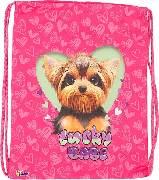 Изображение товара Мешок для обуви Оникс Lucky dog / 158-71516-CLR