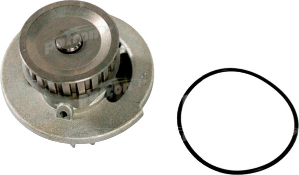 Изображение товара Помпа автомобильная Patron PWP1161