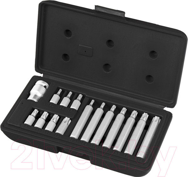 Изображение товара Набор бит Stels 11315