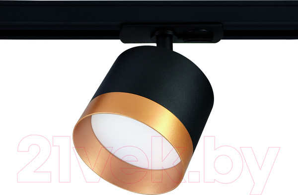 Изображение товара Трековый светильник Ambrella GL5365 BK/GD (черный/золото)