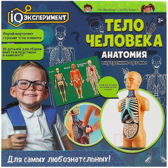 Изображение товара Научная игра IQ Эксперимент Тело человека  A365-H24041-R