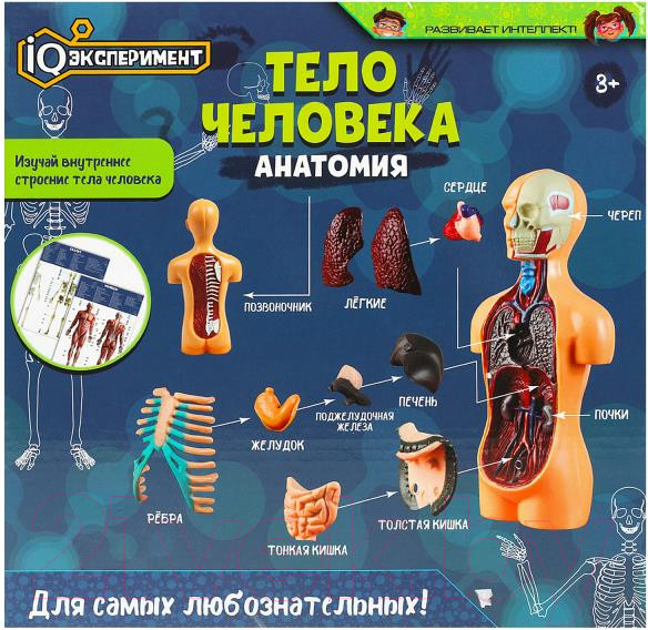 Изображение товара Научная игра IQ Эксперимент Тело человека  A365-H24041-R
