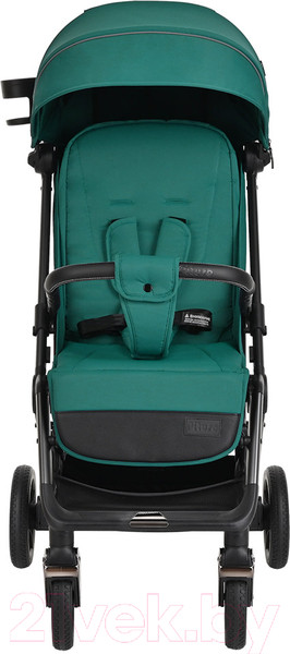 Изображение товара Детская прогулочная коляска Pituso Wicki / ABF2022 (изумруд)