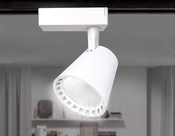 Изображение товара Трековый светильник Ambrella GL5974 WH (белый)