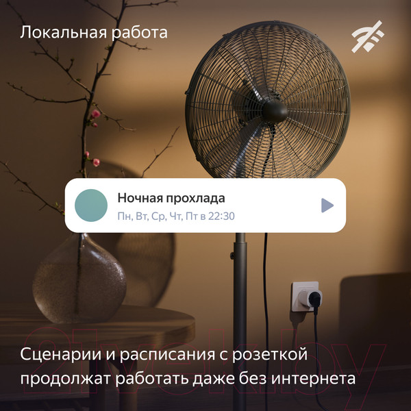 Изображение товара Умная розетка Яндекс YNDX-00540 (черный)