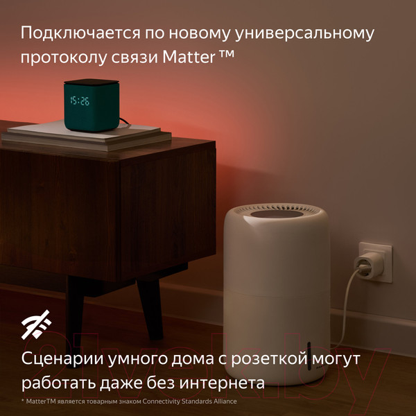 Изображение товара Умная розетка Яндекс YNDX-00540 (черный)