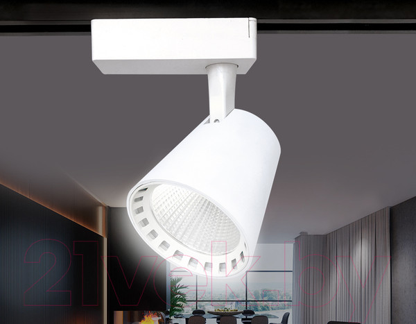 Изображение товара Трековый светильник Ambrella GL5975 WH (белый)