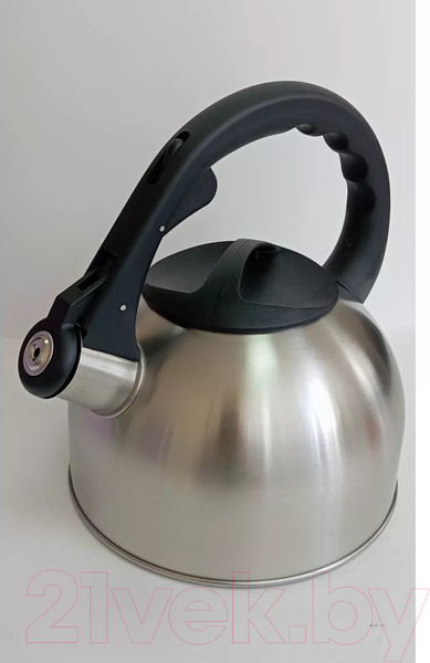 Изображение товара Чайник со свистком Vessel VS8821