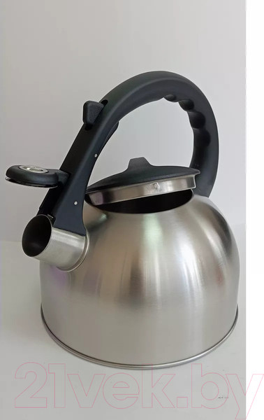 Изображение товара Чайник со свистком Vessel VS8821