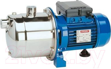 Изображение товара Насосная станция Speroni SPRN101195470 CAM 80-HL насос