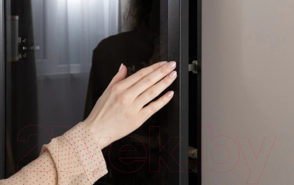 Изображение товара Шкаф-пенал с витриной Mobi Сидней 13.201 (антрацит 0164/антрацит 0164/веллюто Капучино AG 707 ПВХ)