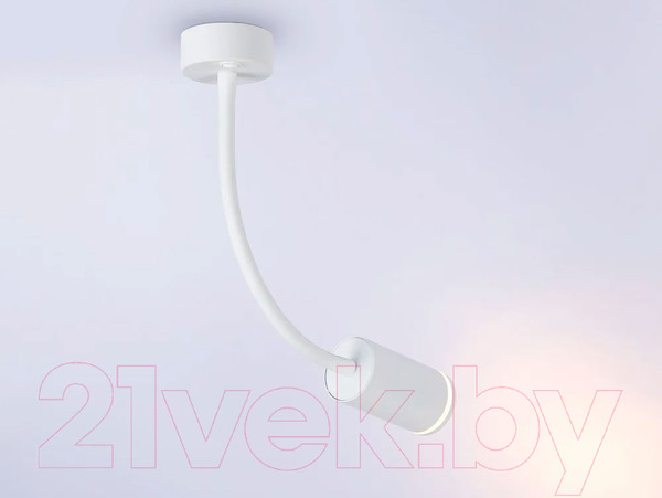 Изображение товара Спот Ambrella Wallers FW2469 WH (белый)