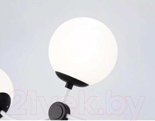 Изображение товара Люстра Ambrella Traditional TR2566/3 WH/BK (белый/черный)