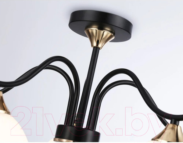 Изображение товара Люстра Ambrella Traditional TR3162/5 BK/FGD (черный/золото)