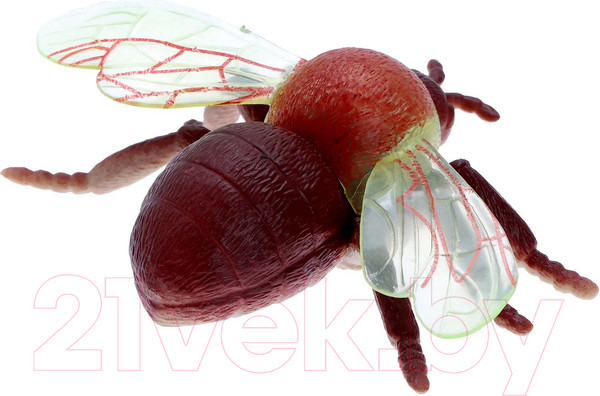 Изображение товара Набор фигурок игровых Зоомир Насекомые. Лесные 929-75A / 6626722 (5шт)