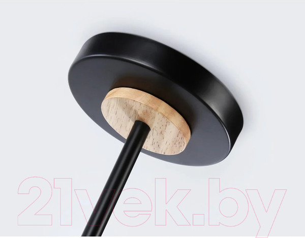 Изображение товара Потолочный светильник Ambrella Traditional TR8244/2 BK/LWD (черный/светлое дерево)