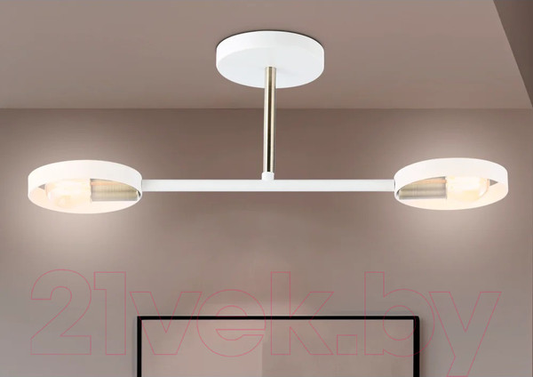 Изображение товара Потолочный светильник Ambrella Traditional TR8222/2 WH/SB (белый/бронза)