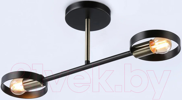Изображение товара Потолочный светильник Ambrella Traditional TR8225/2 BK/SB (черный/бронза)