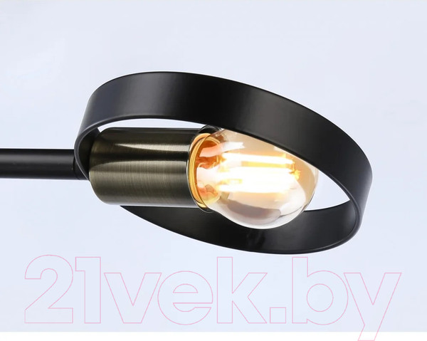 Изображение товара Потолочный светильник Ambrella Traditional TR8225/2 BK/SB (черный/бронза)