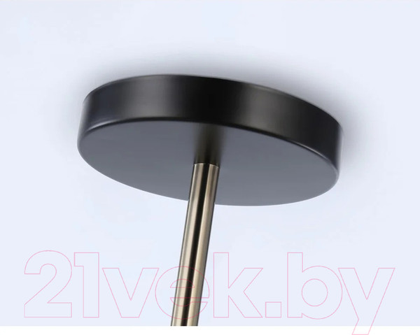 Изображение товара Потолочный светильник Ambrella Traditional TR8225/2 BK/SB (черный/бронза)