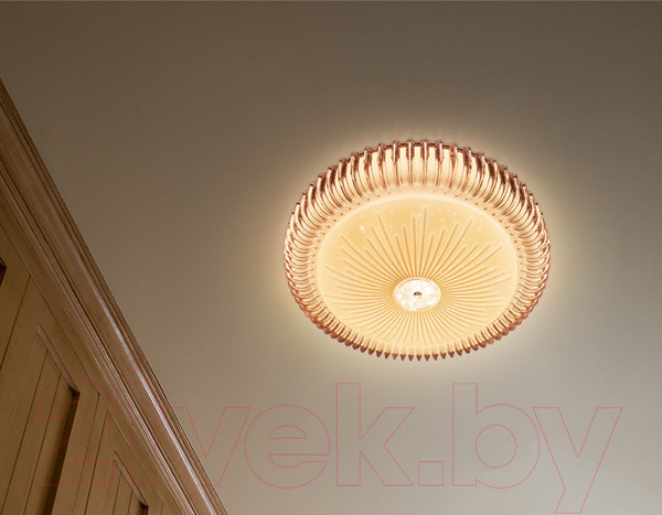 Изображение товара Потолочный светильник Ambrella Orbital FF95 WH (белый)