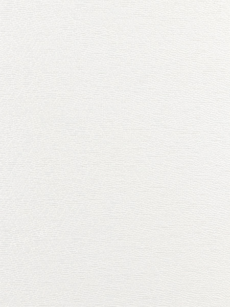 Изображение товара Рулонная штора Lm Decor LM 65-01 38x160 (молочный)