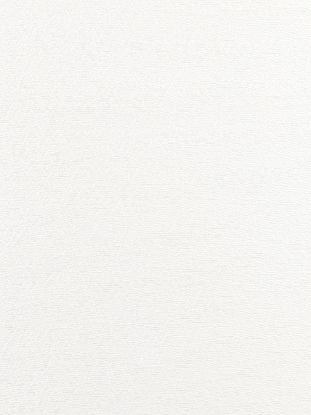 Изображение товара Рулонная штора Lm Decor LM 65-01 38x160 (молочный)