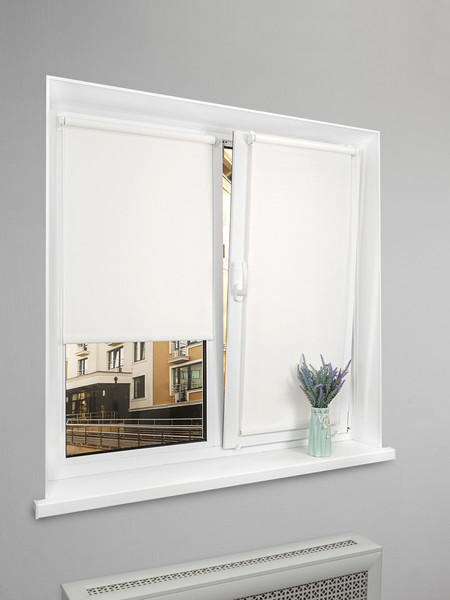 Изображение товара Рулонная штора Lm Decor LM 65-01 48x160 (молочный)