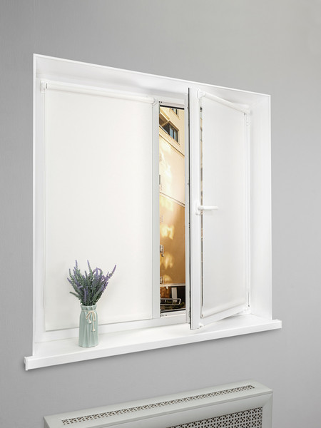 Изображение товара Рулонная штора Lm Decor LM 65-01 48x160 (молочный)