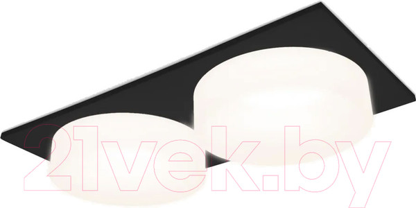 Изображение товара Точечный светильник Ambrella TN1319/2 SBK/FR (черный песок/белый матовый)