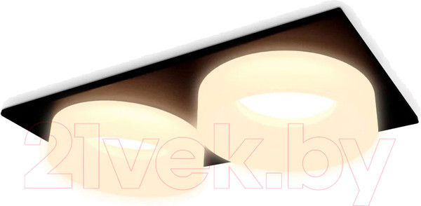 Изображение товара Точечный светильник Ambrella TN1319/2 SBK/FR (черный песок/белый матовый)