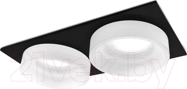 Изображение товара Точечный светильник Ambrella TN1319/2 SBK/FR (черный песок/белый матовый)