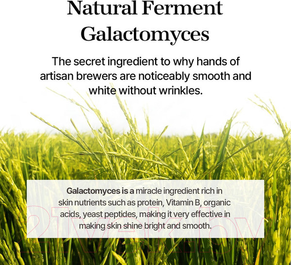 Изображение товара Эссенция для лица Mixsoon Galactomyces Ferment с галактомисисом (20мл)