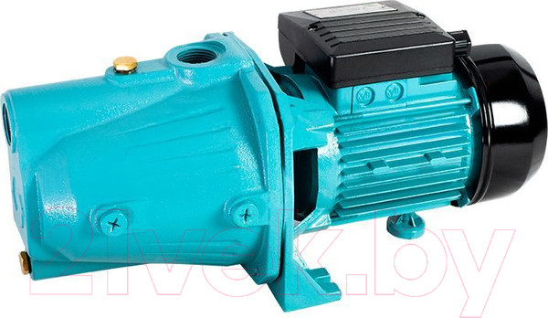 Изображение товара Поверхностный насос GreenPump JET 100 Long