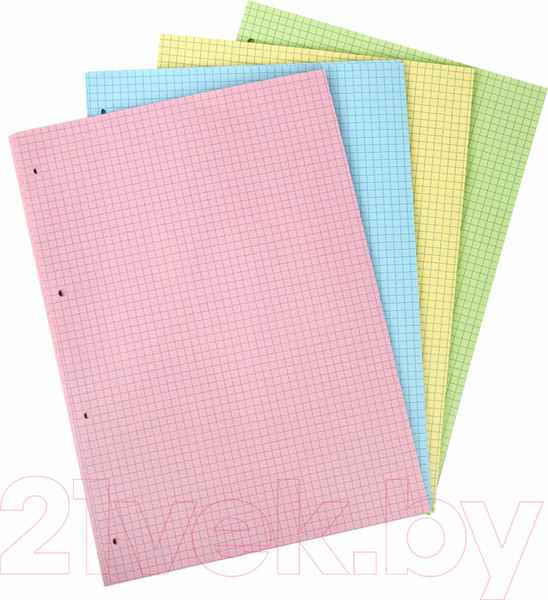 Изображение товара Сменный блок листов Brauberg А4 / 404519 (120л, 4цв)