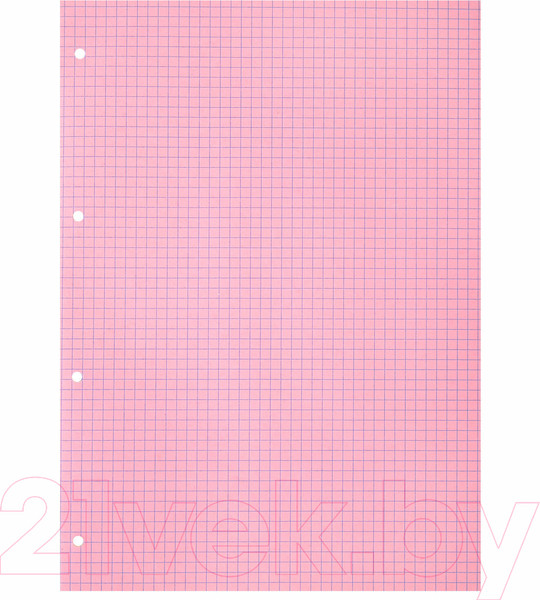 Изображение товара Сменный блок листов Brauberg А4 / 404519 (120л, 4цв)